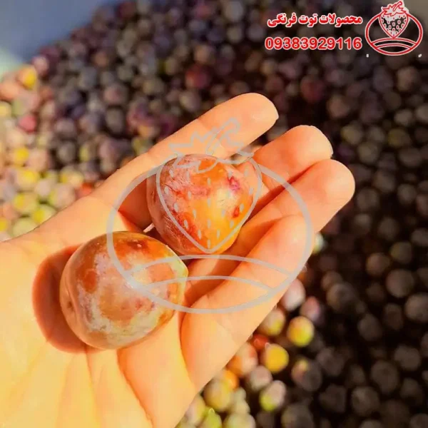لواشک خانگی آلو خاکی طعم ترش - تصویر 2