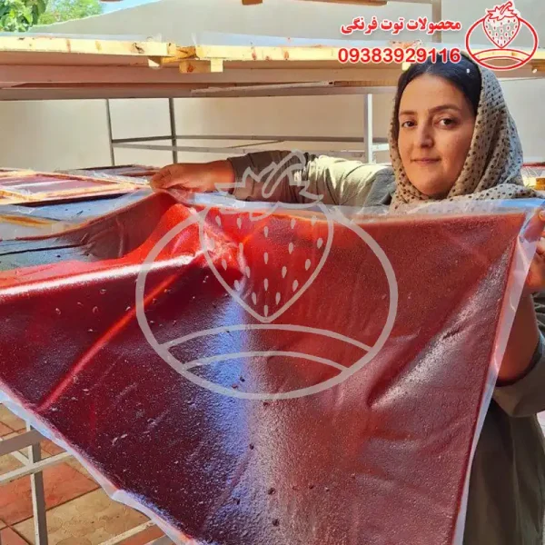 آلوچه انار لواشک خانگی آلوچه انار طعم ترش - تصویر 1