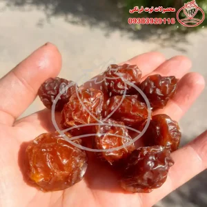 آلوچه خشک