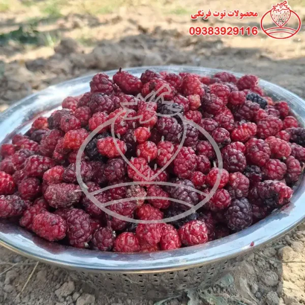 لواشک خانگی توت سیاه آلبالو طعم ترش - تصویر 2