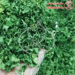 جعفری خشک