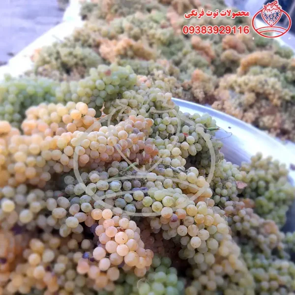 شیره انگور خانگی (دوشاب) - تصویر 2