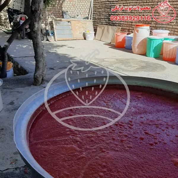 رب گوجه فرنگی خانگی بدون افزودنی - تصویر 2