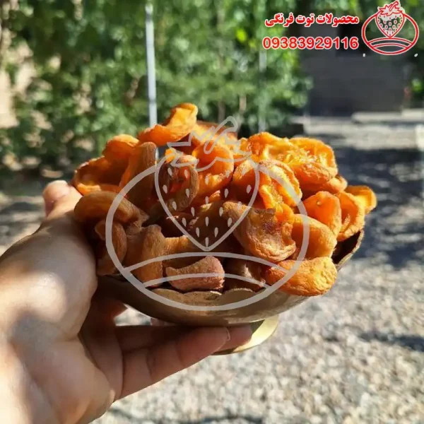 زرد آلو عسگر آباد7 برگه زردآلو عسگر آباد آفتابی شیرین - تصویر 1