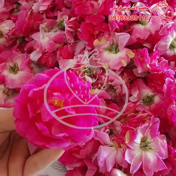 شربت گل محمدی خانگی بدون افزودنی و رنگ مصنوعی - تصویر 4