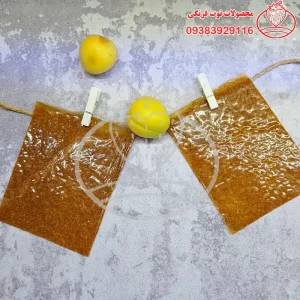 لواشک خانگی زردآلو ملس