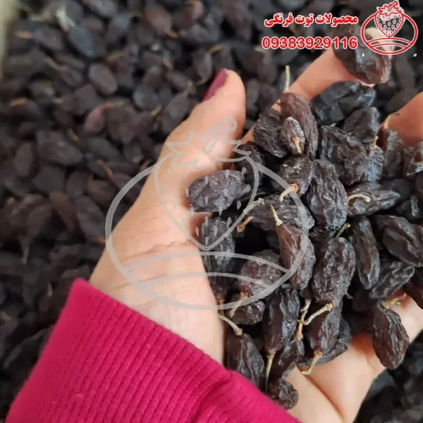 مویز هسته دار - تصویر 1