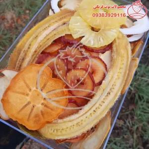 میوه خشک لوکس